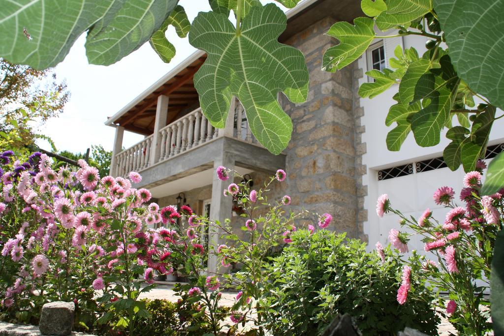 Castelo Dos Sonhos Hotel Valadares  Ngoại thất bức ảnh